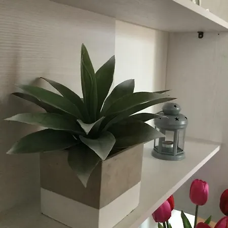 Bisthouse Bed & Breakfast Casa Vacanze 펜션